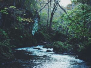 Ensemble Wax 2 pièces Femme