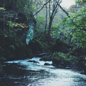 Ensemble Wax 2 pièces Femme