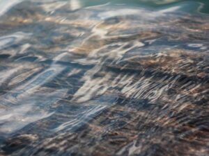 Wax Hollandais Damask 6 yards