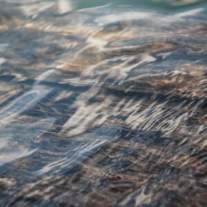 Wax Hollandais Damask 6 yards