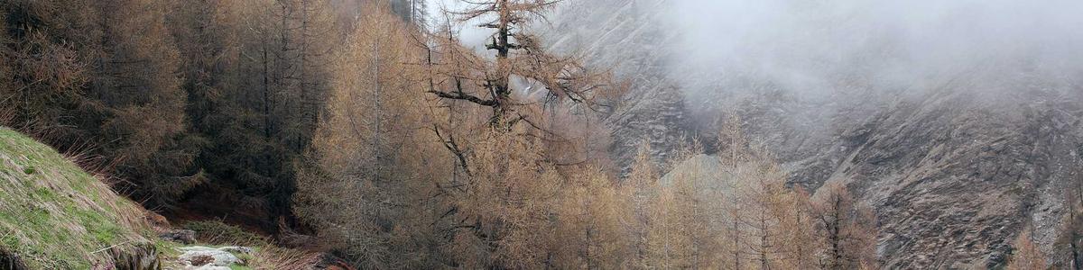 Couture Ndiaye Style