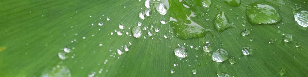 Tissus Marième Dakar